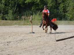 DSC_9291_web